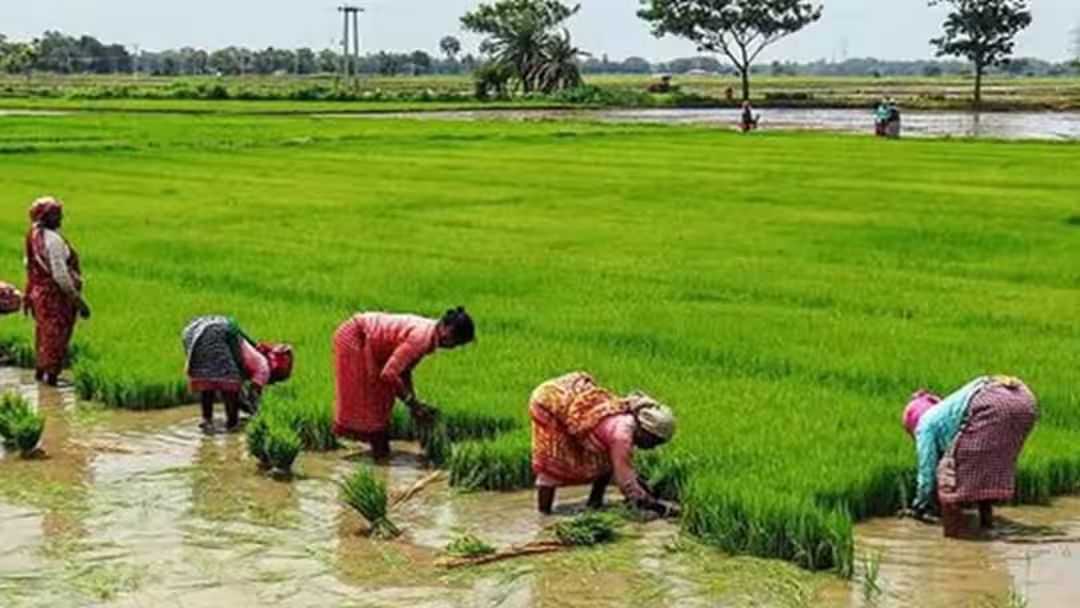 வேளாண்மை துறை அசத்தல் அறிவிப்பு