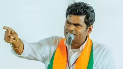 “23ம் புலிகேசி போல் ஸ்டாலின் ஆட்சி நடத்துகிறார்” - அண்ணாமலை