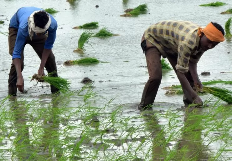 PM Kisan: விவசாயிகளுக்கு ஆண்டுக்கு ரூ.6,000 வழங்கும் திட்டம் மேலும் 5 ஆண்டுகளுக்கு நீட்டிப்பு