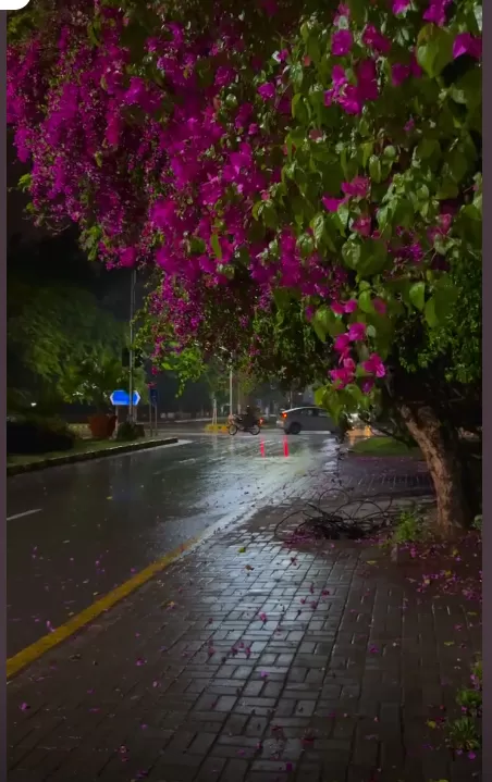 கோவை, மதுரை, குமரி உள்ளிட்ட 9 மாவட்டங்களில் கனமழை வாய்ப்பு | வானிலை முன்னறிவிப்பு
